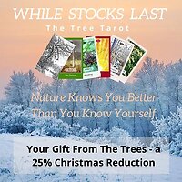Tree Tarot Offer